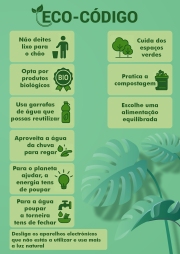 Poster Eco-Código junho 2025.png